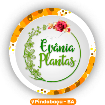 EVÂNIA PLANTAS - PINDOBAÇU